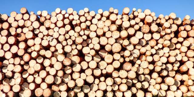 Stapel brandhout