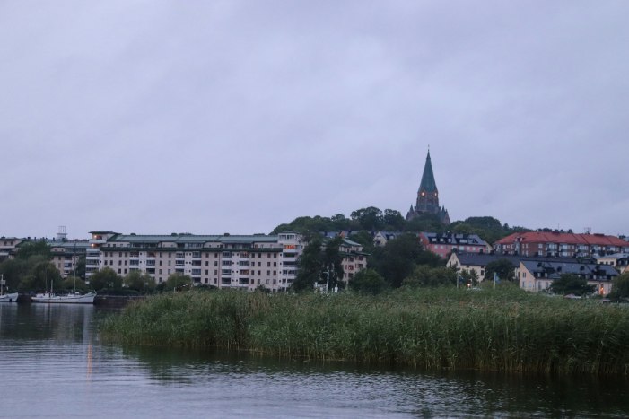 Karpfenangeln Oldenburg